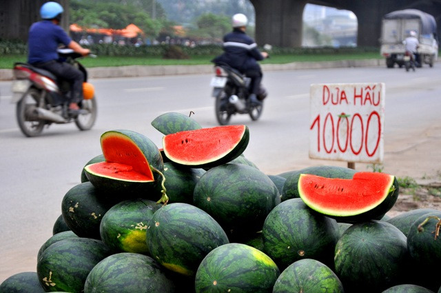 Mức giá 10.000 đồng cũng khiến nhiều người thắc mắc bởi tình trạng hàng ngàn xe hưa hấu ùn ứ tại cửa khẩu Tân Thanh (Lạng Sơn) trong nhiều ngày khiến dưa hấu bị hư hỏng và giá chỉ còn 1.000 đồng/kg nhưng giá mỗi kg dưa hấu ở Hà Nội vẫn cao. Mức giá 10.000 đồng cũng khiến nhiều người thắc mắc bởi tình trạng hàng ngàn xe hưa hấu ùn ứ tại cửa khẩu Tân Thanh (Lạng Sơn) trong nhiều ngày khiến dưa hấu bị hư hỏng và giá chỉ còn 1.000 đồng/kg nhưng giá mỗi kg dưa hấu ở Hà Nội vẫn cao.