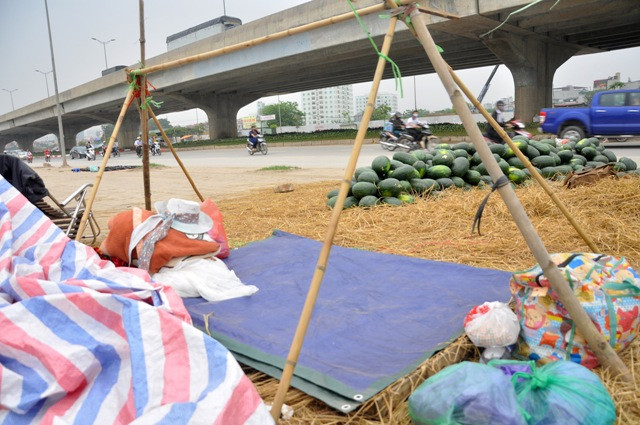 Chính vì lợi nhuận từ việc buôn dưa hấu mỗi ngày có thể tới vài triệu đồng, những tiểu thương này thường kết thúc việc buôn bán vào lúc 23h đêm và ngủ trong “túp lều” ở vỉa hè. Chính vì lợi nhuận từ việc buôn dưa hấu mỗi ngày có thể tới vài triệu đồng, những tiểu thương này thường kết thúc việc buôn bán vào lúc 23h đêm và ngủ trong “túp lều” ở vỉa hè.