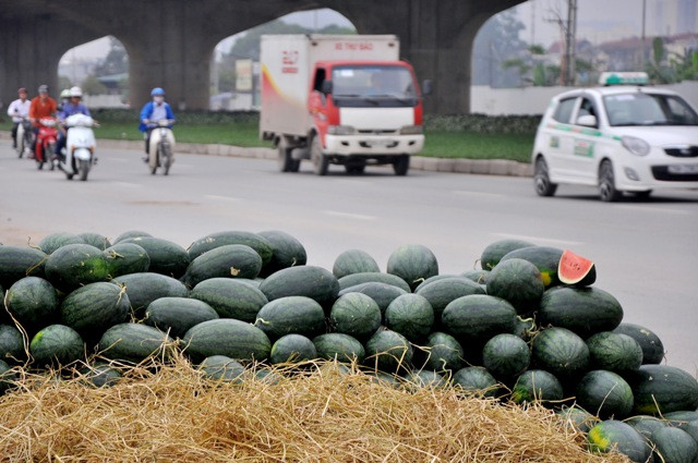 Dưa hấu được xếp tràn lan trên vỉa hè khiến người đi đường không khỏi ngỡ ngàng. Dưa hấu được xếp tràn lan trên vỉa hè khiến người đi đường không khỏi ngỡ ngàng.