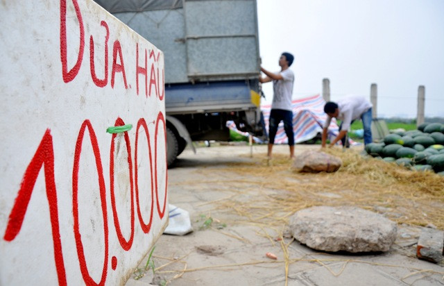 Tuy nhiên, cộng trừ các chi phí để được bán dưa, các tiểu thương bán ra tới khách hàng với giá đồng loạt là 10.000 đồng/kg. Tuy nhiên, cộng trừ các chi phí để được bán dưa, các tiểu thương bán ra tới khách hàng với giá đồng loạt là 10.000 đồng/kg.
