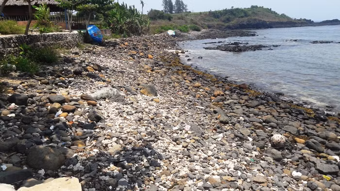 Tuy nhiên, theo kết luận mới đây của Ban Thường vụ Tỉnh ủy Quảng Ngãi thì sẽ không đưa Gành Yến vào dự án như đề xuất của phía FLC.