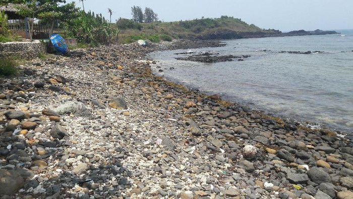 Ban Thường vụ Tỉnh ủy Quảng Ngãi đưa Gành Yến ra khỏi khu vực dự án của FLC. Ảnh: TT Ban Thường vụ Tỉnh ủy Quảng Ngãi đưa Gành Yến ra khỏi khu vực dự án của FLC. Ảnh: TT