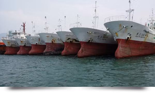 Trong số tàu cá được Công ty CP Đức Khải dự định nhập về có những con tàu có tuổi khai thác sử dụng đến 30 năm