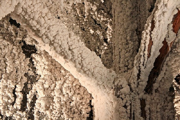 Hai bên lối đi là các hình chạm trổ hoàn toàn từ muối. Những thân gỗ thông mềm ốp hành lang sau thời gian dài ngấm hơi ẩm của muối trở nên cứng như đá.