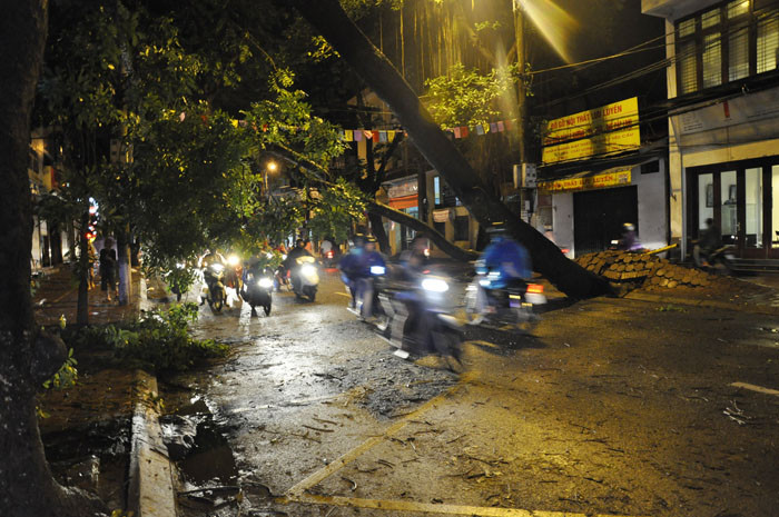 Cũng trên tuyến đường Lò Đúc, một cây xà cừ cổ đổ ra ngang đường và quật ngọn vào nhà bên kia đường gây hư hại tới phần mái và cửa nhà. Cũng trên tuyến đường Lò Đúc, một cây xà cừ cổ đổ ra ngang đường và quật ngọn vào nhà bên kia đường gây hư hại tới phần mái và cửa nhà.