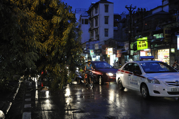 Tình trạng cây đổ cũng xảy ra nghiêm trọng trên tuyến đường Chùa Bộc. Tình trạng cây đổ cũng xảy ra nghiêm trọng trên tuyến đường Chùa Bộc.