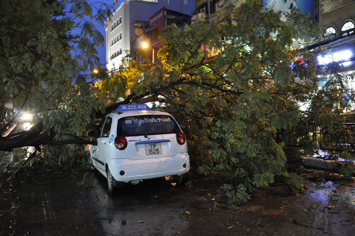 Cây xanh đổ và đè ngang qua chiếc taxi vừa đi tới đó. Rất may, tài xế tãi vẫn bình an, xe chỉ bị hư hại phần trần xe. Cây xanh đổ và đè ngang qua chiếc taxi vừa đi tới đó. Rất may, tài xế tãi vẫn bình an, xe chỉ bị hư hại phần trần xe.