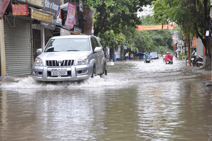 Những chiếc xế hộp lộ rõ ưu thế so với các phương tiện khác. Những chiếc xế hộp lộ rõ ưu thế so với các phương tiện khác.