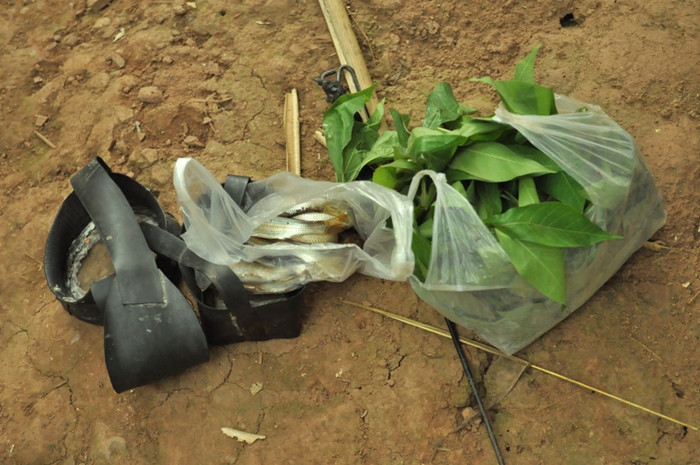 Đây là thức ăn cả ngày của em sau buổi sáng đi rừng Đây là thức ăn cả ngày của em sau buổi sáng đi rừng