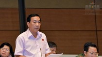 Bà Phan Thị Mỹ Thanh được cho thôi làm nhiệm vụ đại biểu Quốc hội ảnh 2 Bà Phan Thị Mỹ Thanh được cho thôi làm nhiệm vụ đại biểu Quốc hội ảnh 2