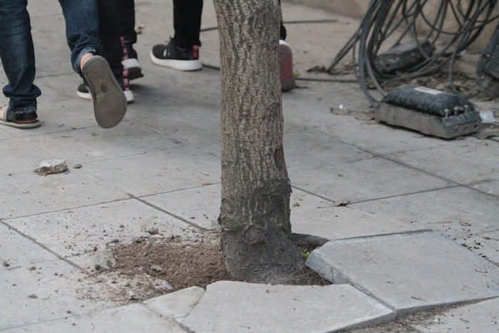 Yêu cầu đảm bảo tính mỹ thuật khi lát đá vỉa hè không tồn tại trong bức hình này (ảnh Trinh Phúc - chụp trên đường Ngô Thị Nhậm, Hà Đông).