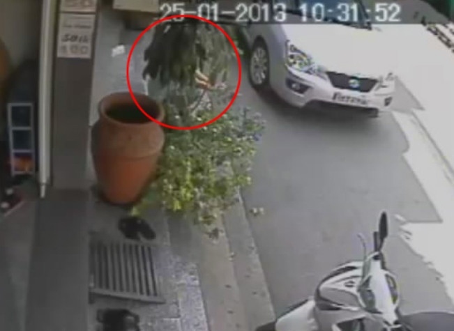 Rồi ngồi xuống rình rập, chờ thời cơ. Rồi ngồi xuống rình rập, chờ thời cơ.