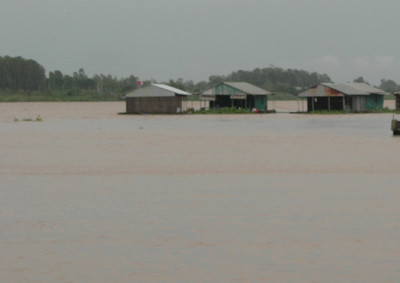 Sông Hậu, đoạn đi qua tỉnh An Giang, mùa này nước chảy xiết vì lũ đang lên. Ảnh: Trúc Linh