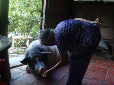 Mép chỉ ăn đồ chay và được gia đình chủ nhà xem như... con trong gia đình