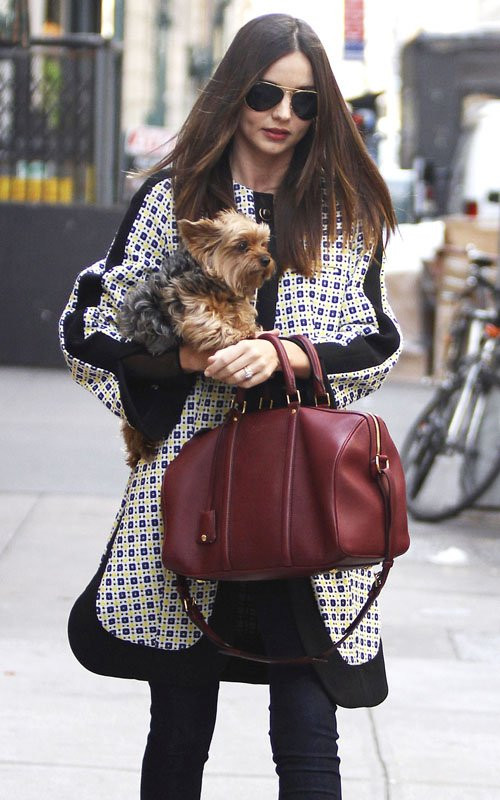 Miranda Kerr bị bắt gặp đang bồng bế chú cún Frankie trên đường phố New York hôm 12/3. Trước đó, cô vừa đưa con trai Flynn đi ăn sáng. Gần đây, nam ca sĩ nhỏ tuổi Cody Simpson tỏ ra khá mến mộ Miranda Kerr khi bày tỏ trực tiếp trên Twitter: "Chị là một người phụ nữ vô cùng xinh đẹp. Đôi khi em ước rằng mình không phải chỉ mới 15 tuổi".