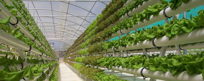 Mô hình nông nghiệp công nghệ cao tại Nhật Bản - ảnh minh họa/ nguồn VTV Mô hình nông nghiệp công nghệ cao tại Nhật Bản - ảnh minh họa/ nguồn VTV