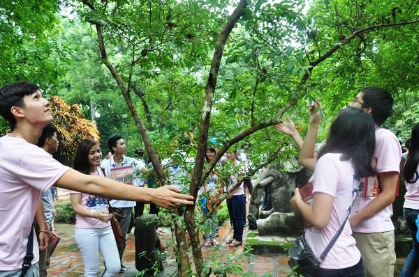 Du khách lạ lùng với cây ổi "biết cười" ở Thanh Hóa (Ảnh: Báo Thanh niên) Du khách lạ lùng với cây ổi "biết cười" ở Thanh Hóa (Ảnh: Báo Thanh niên)