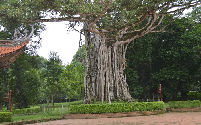 Những tích chuyện huyền bí ở khu di tích Lam Kinh ảnh 2 Những tích chuyện huyền bí ở khu di tích Lam Kinh ảnh 2