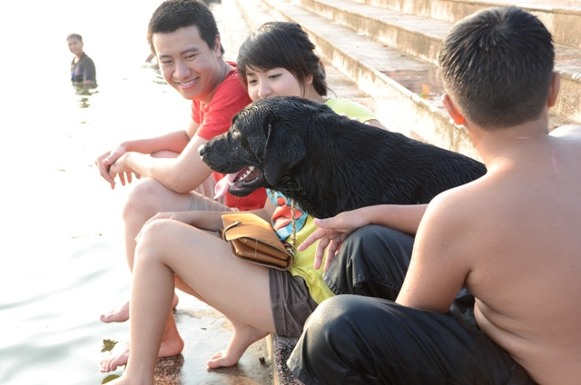 Chú chó này cũng muốn được tắm dưới Hồ Tây Chú chó này cũng muốn được tắm dưới Hồ Tây