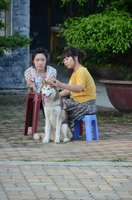 Bên cạnh chủ nhân, khi chủ nhân đang ngồi uống nước. Bên cạnh chủ nhân, khi chủ nhân đang ngồi uống nước.