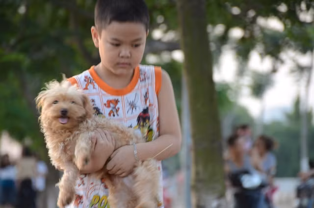 Chú chó trong vòng tay của em nhỏ. Sự gần gũi, yêu thương của 2 “ người bạn”.