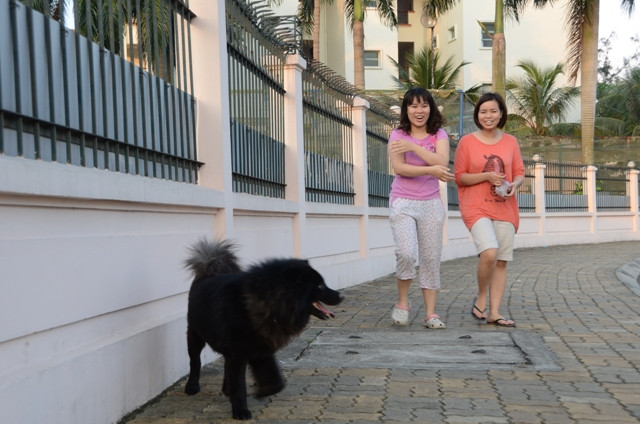 Chủ nhân thoải mái, cười vui khi nhìn chú chó cưng của mình tung tăng phía trước. Chủ nhân thoải mái, cười vui khi nhìn chú chó cưng của mình tung tăng phía trước.