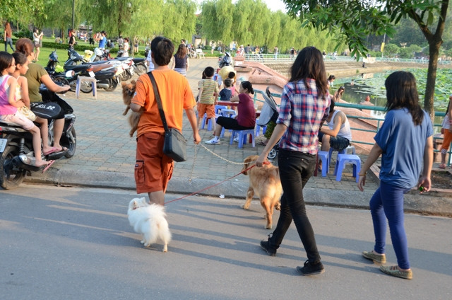 Vào mỗi buổi chiều tại Hồ Tây, không khí diễn ra sôi động, tấp nập dòng người qua lại. Các bạn trẻ ngồi những quán nước ven Hồ, người tập thể duc, chụp ảnh lưu niệm … đặc biệt là hình ảnh những chú chó ngoại cùng chủ nhân dạo mát . Vào mỗi buổi chiều tại Hồ Tây, không khí diễn ra sôi động, tấp nập dòng người qua lại. Các bạn trẻ ngồi những quán nước ven Hồ, người tập thể duc, chụp ảnh lưu niệm … đặc biệt là hình ảnh những chú chó ngoại cùng chủ nhân dạo mát .