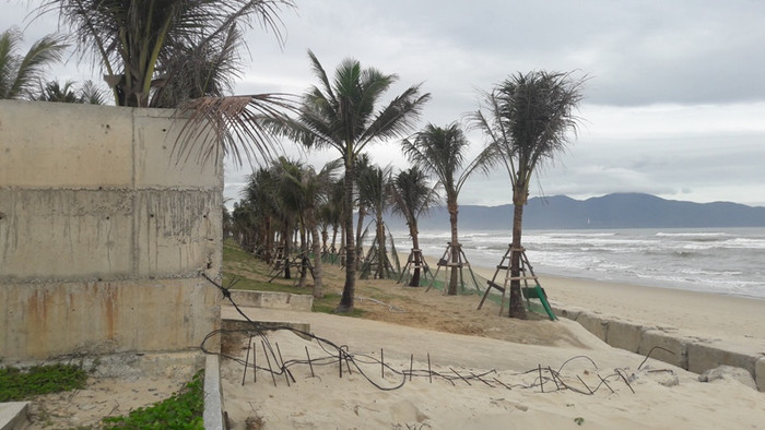 Phần lấn biển trái phép, chủ đầu tư đã trồng dừa, cỏ và nhiều công trình phụ trợ khác. Ảnh: TT