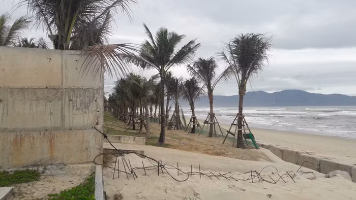 Phần lấn biển trái phép, chủ đầu tư đã trồng dừa, cỏ và nhiều công trình phụ trợ khác. Ảnh: TT