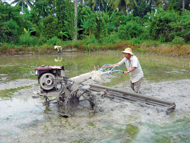Theo ông Võ, nếu giao đất, cho thuê đất vĩnh viễn thì người dân sẽ yên tâm đầu tư (Ảnh minh họa)