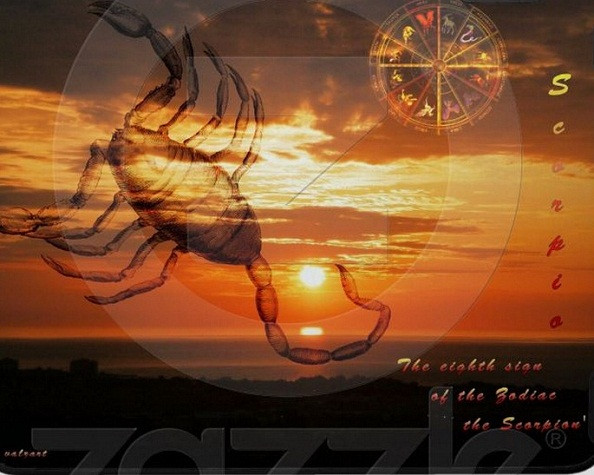 Bò Cạp (23/10 – 21/11) Để mua sắm một cách khôn ngoan, hãy nhớ đến số tiền mà bạn đã phung phí cho những món hàng không cần thiết trước đây. Bạn cũng đừng quên rằng sự mạo hiểm sẽ không mang lại may mắn như bạn chờ đợi đâu.