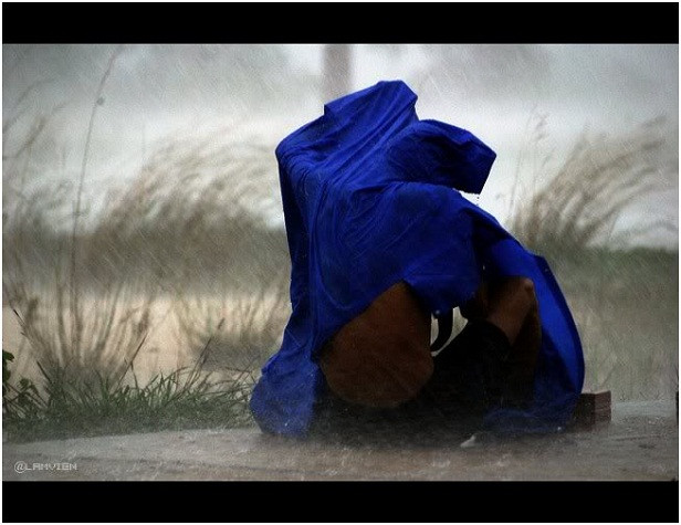 Bất chấp trời mưa gió Bất chấp trời mưa gió