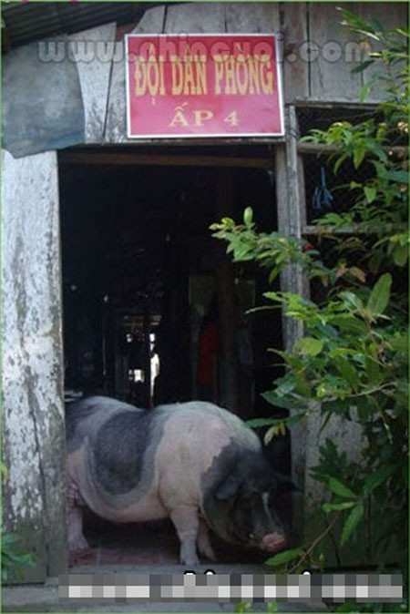 Trụ sở đội dân phòng?