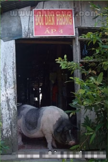 Trụ sở đội dân phòng?