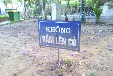 Làm gì còn cỏ nữa!?