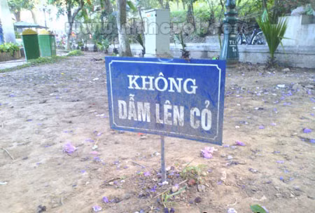 Làm gì còn cỏ nữa!?