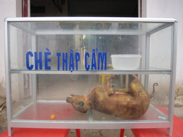 "chè" chó "chè" chó