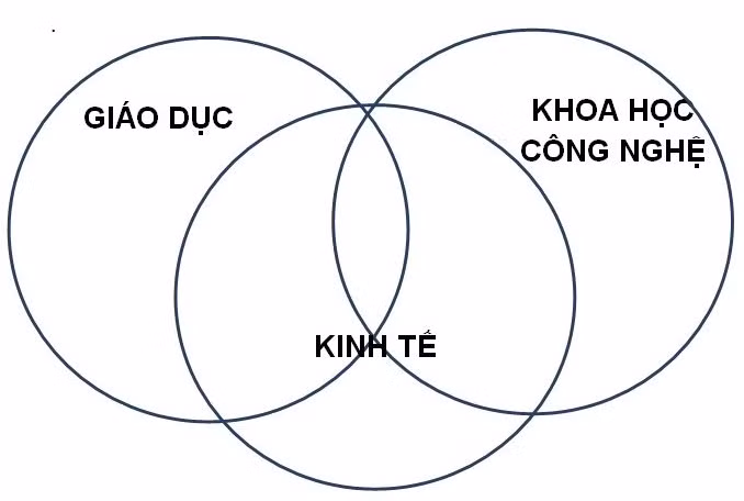 Chuyên gia nêu những khó khăn khi phát triển giáo dục mở ở nước ta hiện nay ảnh 3