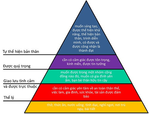 Nhà bác học Maslow đưa ra 5 nhu cầu của sinh viên Nhà bác học Maslow đưa ra 5 nhu cầu của sinh viên