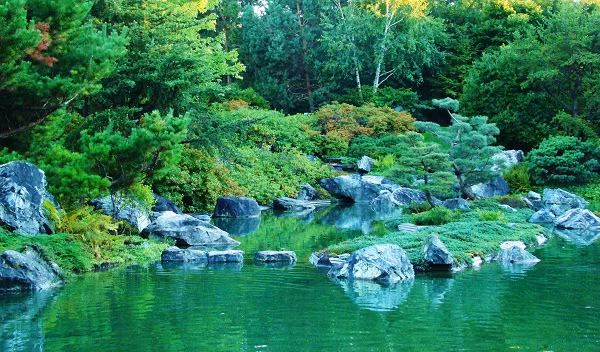 Đến với Vườn bách thảo Montreal, du khách có thể tham quan và tìm hiểu nét văn hóa đặc sắc của nhiều nơi trên thế giới. Điển hình là Vườn Trung Hoa nằm trong khuôn viên của Vườn bách thảo Montreal. Khung cảnh nơi đây được bài trí đẹp mắt và mang đậm nét Á Đông cùng rất nhiều loài cây quý hiếm xuất xứ từ Trung Hoa được trồng ở đây. Vườn Nhật Bản nằm trong Vườn bách thảo Montreal cũng có nhiều điều thú vị, thu hút du khách. Bên cạnh việc tìm hiểu các loài cây quý hiếm của Nhật Bản, du khách còn được thưởng thức các loại trà thơm ngon của lễ hội văn hóa trà đạo, được tổ chức trong suốt mùa hè. Ngoài ra, du khách còn có thể tham quan nhiều khu vườn xinh đẹp khác trong khuôn viên Vườn bách thảo Montreal: Vườn quốc gia Đệ Nhất, Vườn Anpơ, Vườn cây độc dược… với nhiều loài hoa và cây cỏ xinh tươi. Đến với Vườn bách thảo Montreal, du khách có thể tham quan và tìm hiểu nét văn hóa đặc sắc của nhiều nơi trên thế giới. Điển hình là Vườn Trung Hoa nằm trong khuôn viên của Vườn bách thảo Montreal. Khung cảnh nơi đây được bài trí đẹp mắt và mang đậm nét Á Đông cùng rất nhiều loài cây quý hiếm xuất xứ từ Trung Hoa được trồng ở đây. Vườn Nhật Bản nằm trong Vườn bách thảo Montreal cũng có nhiều điều thú vị, thu hút du khách. Bên cạnh việc tìm hiểu các loài cây quý hiếm của Nhật Bản, du khách còn được thưởng thức các loại trà thơm ngon của lễ hội văn hóa trà đạo, được tổ chức trong suốt mùa hè. Ngoài ra, du khách còn có thể tham quan nhiều khu vườn xinh đẹp khác trong khuôn viên Vườn bách thảo Montreal: Vườn quốc gia Đệ Nhất, Vườn Anpơ, Vườn cây độc dược… với nhiều loài hoa và cây cỏ xinh tươi.