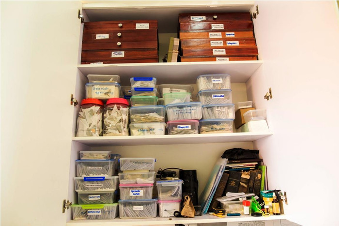 Một góc "gia tài" của Tiến sĩ Toản là những con côn trùng, ký sinh trùng độc, lạ. Một góc "gia tài" của Tiến sĩ Toản là những con côn trùng, ký sinh trùng độc, lạ.