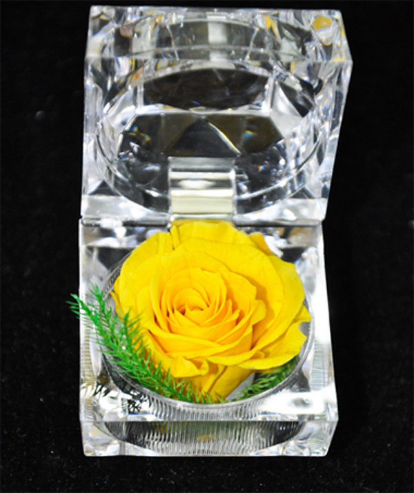 Với công nghệ thay thế chất dưỡng ẩm của cánh hoa hồng, Bông hồng bất tử luôn luôn tươi mới mà vẫn giữ nguyên vẹn màu sắc tự nhiên cùng với vẻ đẹp nhẹ nhàng vốn có cùa nó. Hoa có thể để tươi được tới 5 năm, thay cho việc thể hiện tình yêu của bạn và người ấy luôn vẹn nguyên theo năm tháng. Với công nghệ thay thế chất dưỡng ẩm của cánh hoa hồng, Bông hồng bất tử luôn luôn tươi mới mà vẫn giữ nguyên vẹn màu sắc tự nhiên cùng với vẻ đẹp nhẹ nhàng vốn có cùa nó. Hoa có thể để tươi được tới 5 năm, thay cho việc thể hiện tình yêu của bạn và người ấy luôn vẹn nguyên theo năm tháng.