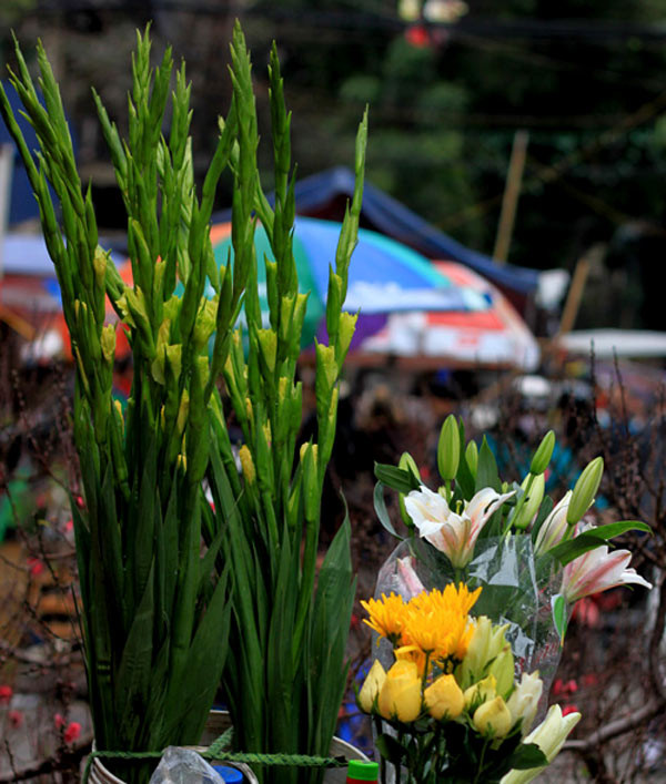 Một bó lay ơn trước Tết có giá khoảng 100.000 đồng/bó (5 cành), giờ tăng lên 120 – 140.000 đồng/bó. Hoa cúc ngày thường 2.000 đồng/bông, sau Tết tăng lên khoảng 3.000 đồng/bông…