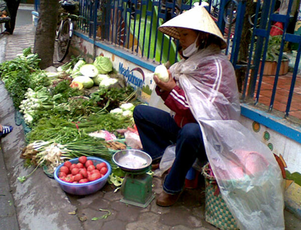Thêm vào đó, các chủ hàng cũng được ngày “buôn may, bán đắt” thỏa sức hét giá “trên trời”, có lẽ vào dịp Tết nên khách mua hầu như không mấy ai trả giá.