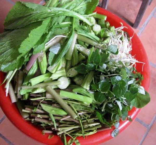 Nhiều hôm không có tép, người dân đi câu cá lóc đồng, cá rô hoặc mò hến. Đây là những thứ cần phải có để chế biến món mắm kho. Rồi cắp rổ đi quanh vườn thế nào cũng có một rổ rau đủ loại nào là rau húng, kèo nèo, đậu rộng, càng cua... hoặc nhảy ùm xuống ao trước nhà hái một ôm bông súng để ăn kèm. Nhiều hôm không có tép, người dân đi câu cá lóc đồng, cá rô hoặc mò hến. Đây là những thứ cần phải có để chế biến món mắm kho. Rồi cắp rổ đi quanh vườn thế nào cũng có một rổ rau đủ loại nào là rau húng, kèo nèo, đậu rộng, càng cua... hoặc nhảy ùm xuống ao trước nhà hái một ôm bông súng để ăn kèm.