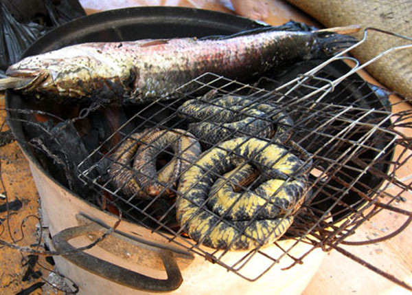4. Rắn trun nướng lèo Ở đồng bằng sông Cửu Long mùa nước nổi, trên những cánh đồng người ta bắt được rất nhiều rắn trun. Giống như thời khẩn hoang xưa, rắn sau khi làm thịt được kẹp nẹp tre nướng trên lửa than hồng thơm nứt mũi. (Ảnh: Hoàng Thám) 4. Rắn trun nướng lèo Ở đồng bằng sông Cửu Long mùa nước nổi, trên những cánh đồng người ta bắt được rất nhiều rắn trun. Giống như thời khẩn hoang xưa, rắn sau khi làm thịt được kẹp nẹp tre nướng trên lửa than hồng thơm nứt mũi. (Ảnh: Hoàng Thám)