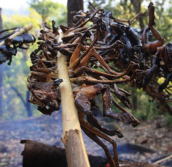 7. Ếch nướng đất sét Về miền sông nước Tây Nam Bộ, bạn sẽ không thể không thưởng thức món cá lóc nướng trui, ếch nướng đất sét, cu đất nứơng mọi, hoặc chim sẽ nướng sả ớt… đó là những kiểu nướng hết sức dân dã, rất đặc trưng, mà có người gọi đó là nướng khẩn hoang. 7. Ếch nướng đất sét Về miền sông nước Tây Nam Bộ, bạn sẽ không thể không thưởng thức món cá lóc nướng trui, ếch nướng đất sét, cu đất nứơng mọi, hoặc chim sẽ nướng sả ớt… đó là những kiểu nướng hết sức dân dã, rất đặc trưng, mà có người gọi đó là nướng khẩn hoang.