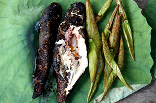 2. Cá lóc cuốn lá sen Đây là đặc sản không thể thiếu trên mâm cơm đãi khách của người dân đất phương Nam... Vào mùa nước nổi, cá càng nhiều. Ăn cá lóc nướng phải tìm được cá đồng. Trọng lượng cá khoảng 800g-1kg thì vừa ăn, bởi thịt cá ở độ ngon nhất trong quá trình phát triển. 2. Cá lóc cuốn lá sen Đây là đặc sản không thể thiếu trên mâm cơm đãi khách của người dân đất phương Nam... Vào mùa nước nổi, cá càng nhiều. Ăn cá lóc nướng phải tìm được cá đồng. Trọng lượng cá khoảng 800g-1kg thì vừa ăn, bởi thịt cá ở độ ngon nhất trong quá trình phát triển.