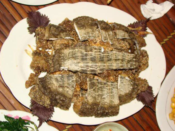 Có thể thưởng thức món rùa rang muối chấm muối tiêu chanh hoặc muối ớt kèm với rau răm. Đưa cay bằng một vài ly rượu nếp trắng mới cảm nhận hết cái hương vị thơm giòn, ngon ngọt, béo ngậy của thịt rùa, vị cay cay của rau răm, rau húng, vị cay nồng, ngòn ngọt của rượu nếp…, mà thầm khâm phục người Cà Mau thời khai hoang lập ấp đã sáng tạo ra cách tận hưởng sản vật trời cho có một không ai ở vùng đất tận cùng Tổ quốc này. Có thể thưởng thức món rùa rang muối chấm muối tiêu chanh hoặc muối ớt kèm với rau răm. Đưa cay bằng một vài ly rượu nếp trắng mới cảm nhận hết cái hương vị thơm giòn, ngon ngọt, béo ngậy của thịt rùa, vị cay cay của rau răm, rau húng, vị cay nồng, ngòn ngọt của rượu nếp…, mà thầm khâm phục người Cà Mau thời khai hoang lập ấp đã sáng tạo ra cách tận hưởng sản vật trời cho có một không ai ở vùng đất tận cùng Tổ quốc này.