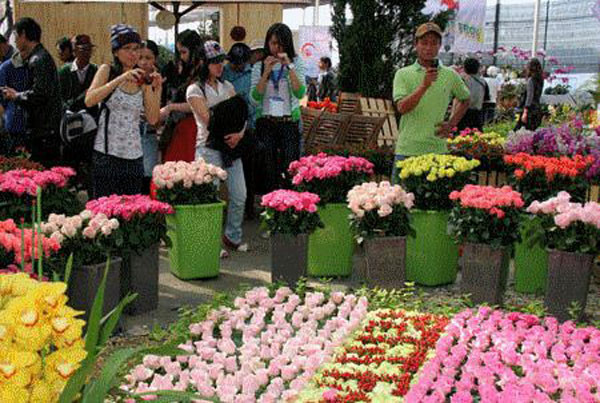 Năm nay, Festival hoa Đà Lạt 2012 trùng với dịp nghỉ tết dương lịch 4 ngày, nên ngay từ những ngày 29, 30/12/2011, Đà Lạt đã gần như chật kín du khách đến từ TP.HCM và 1 số tỉnh, TP khác trong cả nước. Chính vì vậy, giá phòng nghỉ tăng từ 5 – 10 lần so với ngày thường, giá sửa xe máy, nước giải khát cũng tăng với mức chóng mặt…